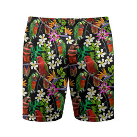 Мужские шорты 3D спортивные с принтом Попугаи в Белгороде,  |  | myparrots | parrotузор | листья | орнамент | попугаи | птицы | рай | цветы