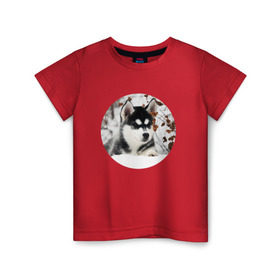 Детская футболка хлопок с принтом Щенок хаски в Белгороде, 100% хлопок | круглый вырез горловины, полуприлегающий силуэт, длина до линии бедер | dog | husky | собака | хаски | щенок