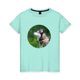 Женская футболка хлопок с принтом Хаски в Белгороде, 100% хлопок | прямой крой, круглый вырез горловины, длина до линии бедер, слегка спущенное плечо | dog | husky | собака | хаски | щенок