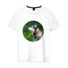 Мужская футболка хлопок с принтом Хаски в Белгороде, 100% хлопок | прямой крой, круглый вырез горловины, длина до линии бедер, слегка спущенное плечо. | Тематика изображения на принте: dog | husky | собака | хаски | щенок