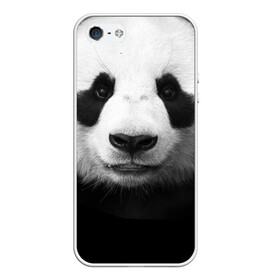 Чехол для iPhone 5/5S матовый с принтом Панда в Белгороде, Силикон | Область печати: задняя сторона чехла, без боковых панелей | панда