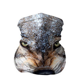 Бандана-труба 3D с принтом Волк в Белгороде, 100% полиэстер, ткань с особыми свойствами — Activecool | плотность 150‒180 г/м2; хорошо тянется, но сохраняет форму | волк | животные | злой волк | зубы | оскал