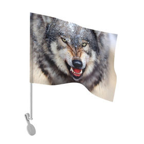 Флаг для автомобиля с принтом Волк в Белгороде, 100% полиэстер | Размер: 30*21 см | волк | животные | злой волк | зубы | оскал