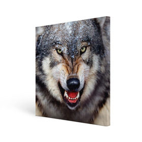 Холст квадратный с принтом Волк в Белгороде, 100% ПВХ |  | волк | животные | злой волк | зубы | оскал