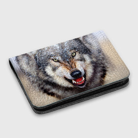 Картхолдер с принтом с принтом Волк в Белгороде, натуральная матовая кожа | размер 7,3 х 10 см; кардхолдер имеет 4 кармана для карт; | волк | животные | злой волк | зубы | оскал