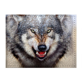 Обложка для студенческого билета с принтом Волк в Белгороде, натуральная кожа | Размер: 11*8 см; Печать на всей внешней стороне | волк | животные | злой волк | зубы | оскал