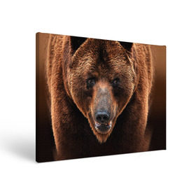 Холст прямоугольный с принтом Медведь в Белгороде, 100% ПВХ |  | Тематика изображения на принте: бурый | гризли | животные | медведь | мишка