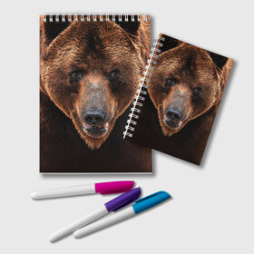 Блокнот с принтом Медведь в Белгороде, 100% бумага | 48 листов, плотность листов — 60 г/м2, плотность картонной обложки — 250 г/м2. Листы скреплены удобной пружинной спиралью. Цвет линий — светло-серый
 | бурый | гризли | животные | медведь | мишка
