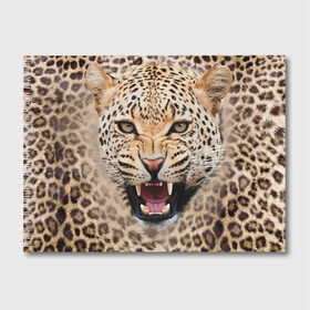Альбом для рисования с принтом Леопард в Белгороде, 100% бумага
 | матовая бумага, плотность 200 мг. | Тематика изображения на принте: животные | зубы | киса | киска | кошка | леопард | оскал