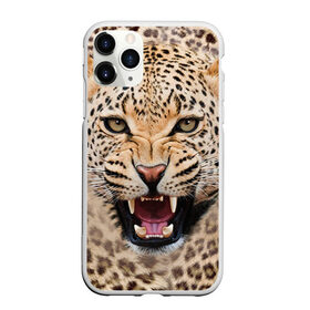 Чехол для iPhone 11 Pro матовый с принтом Леопард в Белгороде, Силикон |  | животные | зубы | киса | киска | кошка | леопард | оскал