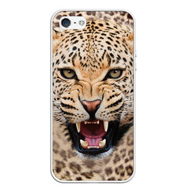 Чехол для iPhone 5/5S матовый с принтом Леопард в Белгороде, Силикон | Область печати: задняя сторона чехла, без боковых панелей | животные | зубы | киса | киска | кошка | леопард | оскал