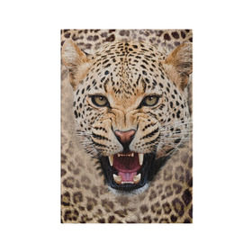 Обложка для паспорта матовая кожа с принтом Леопард в Белгороде, натуральная матовая кожа | размер 19,3 х 13,7 см; прозрачные пластиковые крепления | животные | зубы | киса | киска | кошка | леопард | оскал