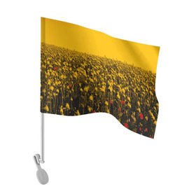 Флаг для автомобиля с принтом Wu-Tang Clan в Белгороде, 100% полиэстер | Размер: 30*21 см | хип хоп