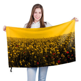 Флаг 3D с принтом Wu-Tang Clan в Белгороде, 100% полиэстер | плотность ткани — 95 г/м2, размер — 67 х 109 см. Принт наносится с одной стороны | хип хоп