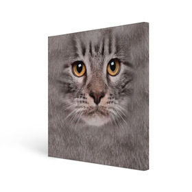 Холст квадратный с принтом Котик в Белгороде, 100% ПВХ |  | животное | киса | кот | котик | кошка