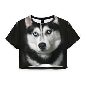 Женская футболка 3D укороченная с принтом Хаски в Белгороде, 100% полиэстер | круглая горловина, длина футболки до линии талии, рукава с отворотами | животные | собака | хаски