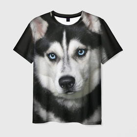 Мужская футболка 3D с принтом Хаски в Белгороде, 100% полиэфир | прямой крой, круглый вырез горловины, длина до линии бедер | Тематика изображения на принте: животные | собака | хаски