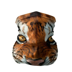 Бандана-труба 3D с принтом Тигр в Белгороде, 100% полиэстер, ткань с особыми свойствами — Activecool | плотность 150‒180 г/м2; хорошо тянется, но сохраняет форму | животные | зубы | кошка | тигр
