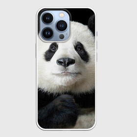 Чехол для iPhone 13 Pro с принтом Панда в Белгороде,  |  | панда