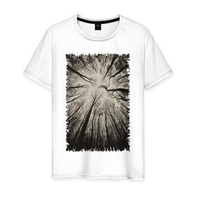 Мужская футболка хлопок с принтом Мрачный лес в Белгороде, 100% хлопок | прямой крой, круглый вырез горловины, длина до линии бедер, слегка спущенное плечо. | Тематика изображения на принте: 