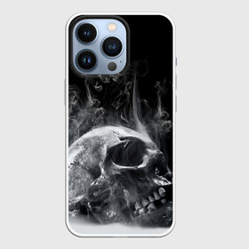 Чехол для iPhone 13 Pro с принтом Skull в Белгороде,  |  | skull | skulls | череп | черепа