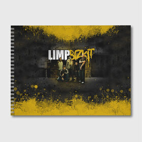 Альбом для рисования с принтом Limp Bizkit в Белгороде, 100% бумага
 | матовая бумага, плотность 200 мг. | bizkit | limp | limp bizkit | бизкит | лимп | лимп бизкит | лимпбизкит | рок