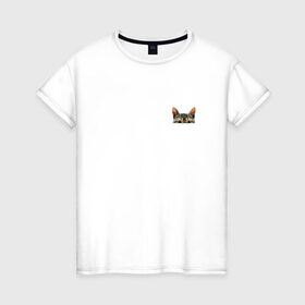 Женская футболка хлопок с принтом Кот в кармашке в Белгороде, 100% хлопок | прямой крой, круглый вырез горловины, длина до линии бедер, слегка спущенное плечо | Тематика изображения на принте: в кармане | киса | кот | коты | кошки | подглядывающий