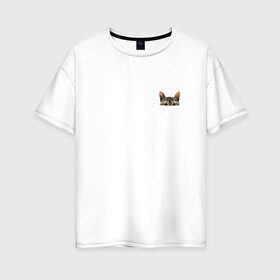 Женская футболка хлопок Oversize с принтом Кот в кармашке в Белгороде, 100% хлопок | свободный крой, круглый ворот, спущенный рукав, длина до линии бедер
 | в кармане | киса | кот | коты | кошки | подглядывающий