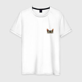 Мужская футболка хлопок с принтом Кот в кармашке в Белгороде, 100% хлопок | прямой крой, круглый вырез горловины, длина до линии бедер, слегка спущенное плечо. | в кармане | киса | кот | коты | кошки | подглядывающий