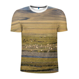 Мужская футболка 3D спортивная с принтом Долина жизни в Белгороде, 100% полиэстер с улучшенными характеристиками | приталенный силуэт, круглая горловина, широкие плечи, сужается к линии бедра | алтай | горы | долина | камни | пастбище в горной долинеживотные | пески | пустыни | рек