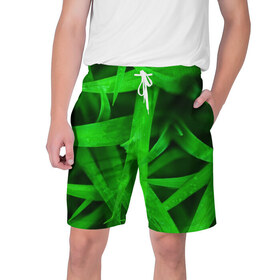 Мужские шорты 3D с принтом Трава в Белгороде,  полиэстер 100% | прямой крой, два кармана без застежек по бокам. Мягкая трикотажная резинка на поясе, внутри которой широкие завязки. Длина чуть выше колен | зеленый | макро | яркий