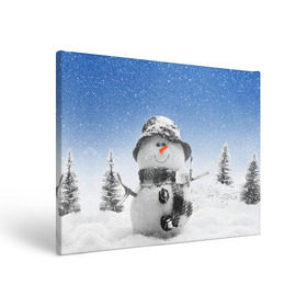 Холст прямоугольный с принтом Снеговик в Белгороде, 100% ПВХ |  | Тематика изображения на принте: 2016 | winter | год | зима | мартышка | новогодний | новый | обезьяна | обезьянка | подарок | с новым годом | снег | снеговик