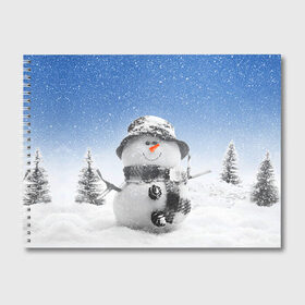 Альбом для рисования с принтом Снеговик в Белгороде, 100% бумага
 | матовая бумага, плотность 200 мг. | Тематика изображения на принте: 2016 | winter | год | зима | мартышка | новогодний | новый | обезьяна | обезьянка | подарок | с новым годом | снег | снеговик
