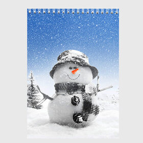 Скетчбук с принтом Снеговик в Белгороде, 100% бумага
 | 48 листов, плотность листов — 100 г/м2, плотность картонной обложки — 250 г/м2. Листы скреплены сверху удобной пружинной спиралью | Тематика изображения на принте: 2016 | winter | год | зима | мартышка | новогодний | новый | обезьяна | обезьянка | подарок | с новым годом | снег | снеговик