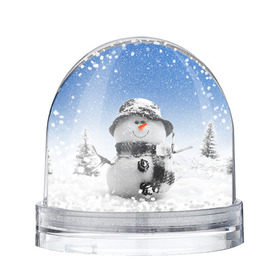 Снежный шар с принтом Снеговик в Белгороде, Пластик | Изображение внутри шара печатается на глянцевой фотобумаге с двух сторон | 2016 | winter | год | зима | мартышка | новогодний | новый | обезьяна | обезьянка | подарок | с новым годом | снег | снеговик