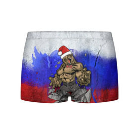 Мужские трусы 3D с принтом Медведь в Белгороде, 50% хлопок, 50% полиэстер | классическая посадка, на поясе мягкая тканевая резинка | 2016 | год | медведь | мишка | новогодний | новый | патриот | россия | русский | с новым годом | сила | флаг