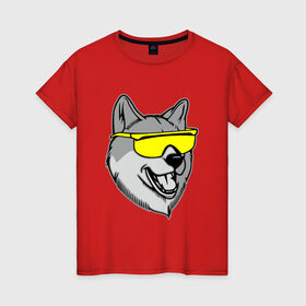 Женская футболка хлопок с принтом Хаски в очках в Белгороде, 100% хлопок | прямой крой, круглый вырез горловины, длина до линии бедер, слегка спущенное плечо | голова | животные | очки | пес | собака | хаски