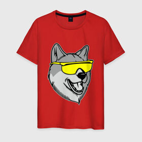 Мужская футболка хлопок с принтом Хаски в очках в Белгороде, 100% хлопок | прямой крой, круглый вырез горловины, длина до линии бедер, слегка спущенное плечо. | голова | животные | очки | пес | собака | хаски