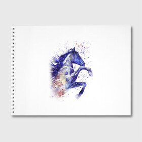 Альбом для рисования с принтом Лошадь Арт 4 в Белгороде, 100% бумага
 | матовая бумага, плотность 200 мг. | Тематика изображения на принте: horse | horseshoe | акварель | головалошади | грива | единорог | жеребец | животные | конь | лошадь | лошадьскрыльями | подкова | природа | рисуноккрасками