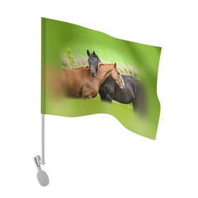 Флаг для автомобиля с принтом Лошади 2 в Белгороде, 100% полиэстер | Размер: 30*21 см | horse | horseshoe | акварель | головалошади | грива | единорог | жеребец | животные | конь | лошадь | лошадьскрыльями | подкова | природа | рисуноккрасками