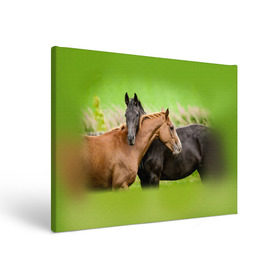 Холст прямоугольный с принтом Лошади 2 в Белгороде, 100% ПВХ |  | horse | horseshoe | акварель | головалошади | грива | единорог | жеребец | животные | конь | лошадь | лошадьскрыльями | подкова | природа | рисуноккрасками