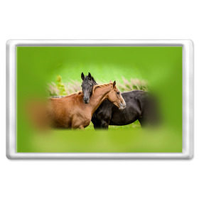 Магнит 45*70 с принтом Лошади 2 в Белгороде, Пластик | Размер: 78*52 мм; Размер печати: 70*45 | horse | horseshoe | акварель | головалошади | грива | единорог | жеребец | животные | конь | лошадь | лошадьскрыльями | подкова | природа | рисуноккрасками