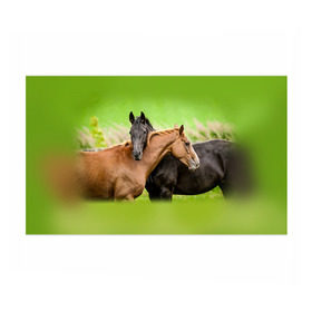 Бумага для упаковки 3D с принтом Лошади 2 в Белгороде, пластик и полированная сталь | круглая форма, металлическое крепление в виде кольца | Тематика изображения на принте: horse | horseshoe | акварель | головалошади | грива | единорог | жеребец | животные | конь | лошадь | лошадьскрыльями | подкова | природа | рисуноккрасками