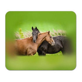 Коврик прямоугольный с принтом Лошади 2 в Белгороде, натуральный каучук | размер 230 х 185 мм; запечатка лицевой стороны | horse | horseshoe | акварель | головалошади | грива | единорог | жеребец | животные | конь | лошадь | лошадьскрыльями | подкова | природа | рисуноккрасками