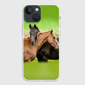 Чехол для iPhone 13 mini с принтом Лошади 2 в Белгороде,  |  | horse | horseshoe | акварель | головалошади | грива | единорог | жеребец | животные | конь | лошадь | лошадьскрыльями | подкова | природа | рисуноккрасками