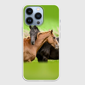 Чехол для iPhone 13 Pro с принтом Лошади 2 в Белгороде,  |  | horse | horseshoe | акварель | головалошади | грива | единорог | жеребец | животные | конь | лошадь | лошадьскрыльями | подкова | природа | рисуноккрасками