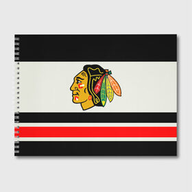 Альбом для рисования с принтом Chicago Blackhawks в Белгороде, 100% бумага
 | матовая бумага, плотность 200 мг. | chicago blackhawks | hockey | nhl | нхл | хоккей