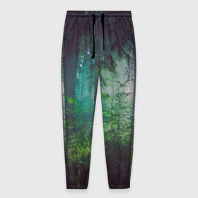 Мужские брюки 3D с принтом Таинственный лес в Белгороде, 100% полиэстер | манжеты по низу, эластичный пояс регулируется шнурком, по бокам два кармана без застежек, внутренняя часть кармана из мелкой сетки | деревья | зелень | на макете изображен таинственный зеленый леслес