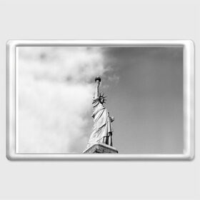 Магнит 45*70 с принтом Статуя Свободы в Белгороде, Пластик | Размер: 78*52 мм; Размер печати: 70*45 | Тематика изображения на принте: америка | нью йорк | статуя свободы | сша | штаты