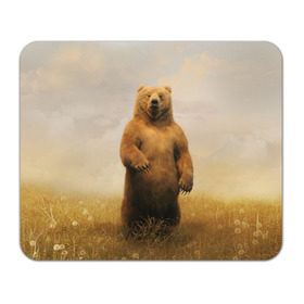 Коврик прямоугольный с принтом Медведь в поле в Белгороде, натуральный каучук | размер 230 х 185 мм; запечатка лицевой стороны | Тематика изображения на принте: bear | медведь | одуванчики | русский медведь в чистом русском поле мечта патриотаполе | сено